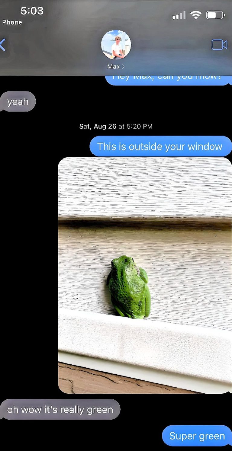 Max Ver Beek frog text Max Ver Beek frog text